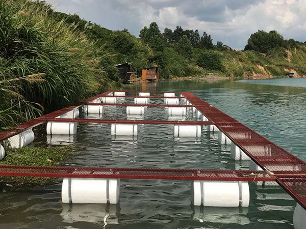 養(yǎng)黃鱔泥鰍的池塘怎么建，網(wǎng)箱該怎么擺放