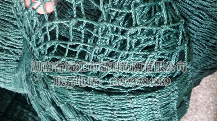 網(wǎng)箱養(yǎng)魚平臺設(shè)計建設(shè)